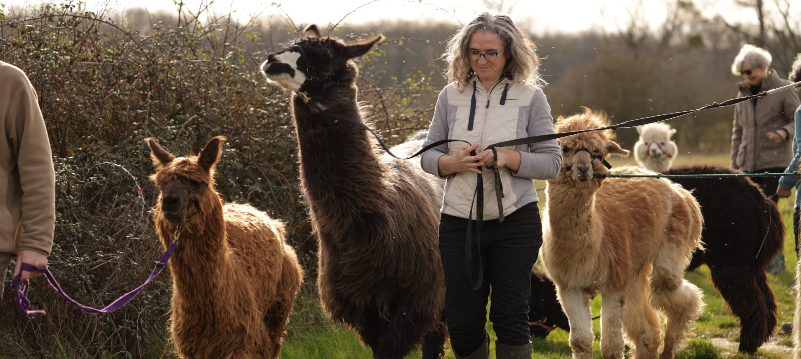 balade‑lama‑nature‑familial