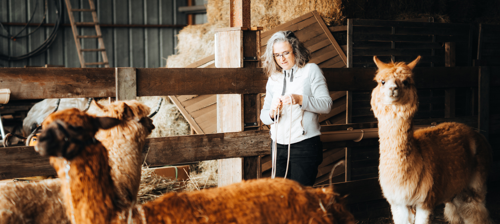 famille‑connexion‑animaux‑découverte‑rural