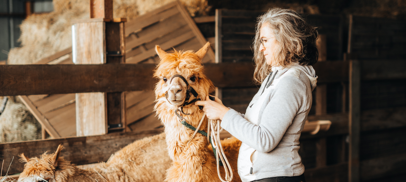 lama‑balade‑forêt‑ressourcement